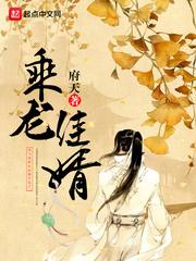 乘龙佳婿女主角