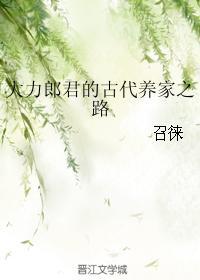 大力郎君的古代养家之路乐文