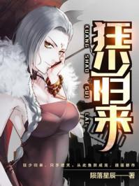狂少归来游戏