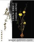 名门纪事讲什么