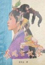 龙凤宝钗缘后续是什么