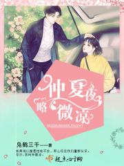 你是仲夏夜的微凉是什么歌