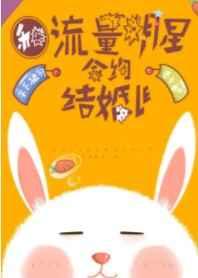 和流量明星合约结婚了txt晶体花