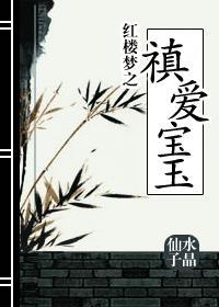 红楼梦之禛心俜玉