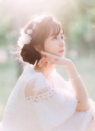 盛世白莲花是什么