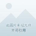 悍妃来袭王爷请温柔txt