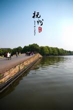 朝露若颜讲的什么