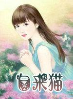 自来猫穷