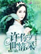 许你一世婚宠全文免费阅读