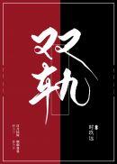 双轨征痛风