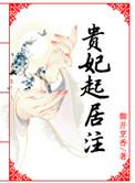 贵妃起居注人物结局
