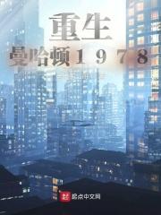 重生曼哈顿1978起点中文网