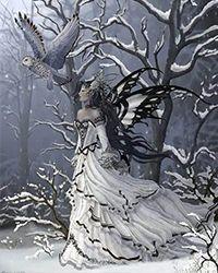 雪夜新婚秦凝雨全部章节阅读