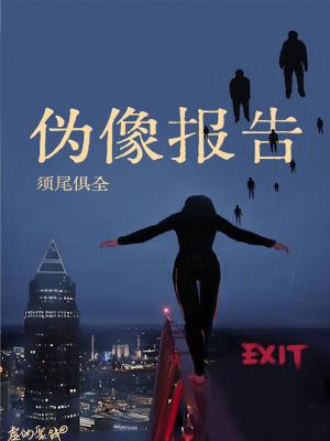 伪像报告by