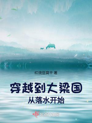 穿越到大梁国从落水开始全文免费阅读