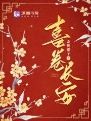 喜卷长安城 电视剧