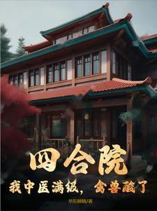 四合院开局满级医