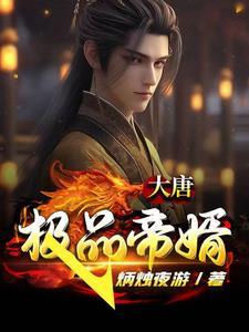 大唐极品帝婿 炳烛夜游