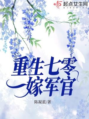 重生七零嫁军官的宠文