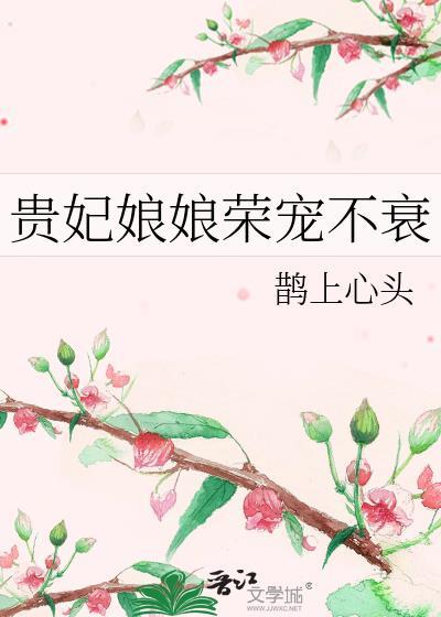 贵妃娘子