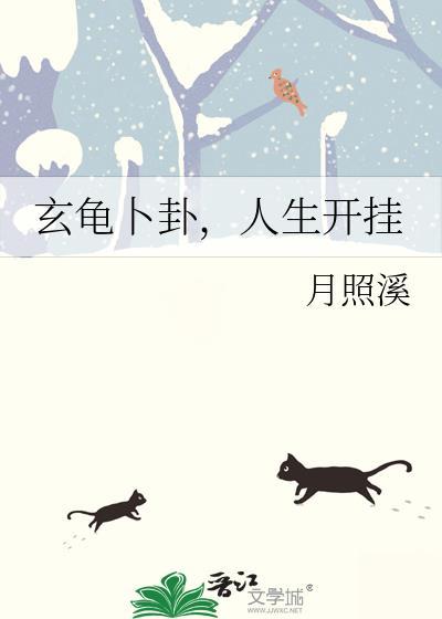 玄龟卜卦人生开挂txt