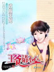 王妃又改嫁了