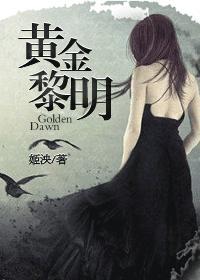 黄金黎明1txt书包网