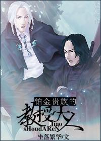 hp之铂金贵族