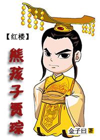 红楼之贾棕
