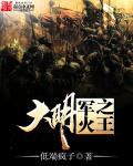 大明之军权天下