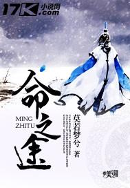 火影忍者宿命之途