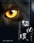 猫的眼神充满杀气