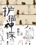 神探包星星