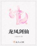 龙凤双绝剑
