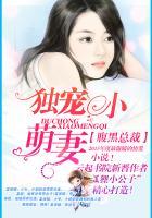 腹黑总裁的独宠宝贝