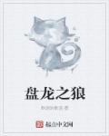 盘龙之圆