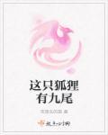 九尾狐只有一条尾巴