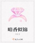 暗香言情