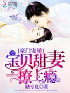 豪门首席boss甜宠小宝贝