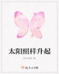 太阳照常升起故事梗概