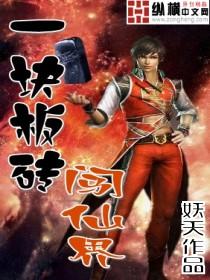 一块板砖闯仙界何其播讲