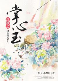 红楼之掌心的宝