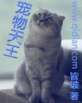 宠物天王TXT八零