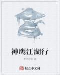 神鹰内部