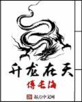升龙 降龙 行龙 盘龙