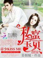 私密宝贝帝少kissme书