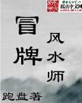 冒牌风水师血儿by