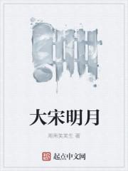 大宋明宫演员