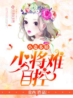 少将的小妻子
