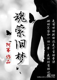 魂萦旧梦歌词是什么意思